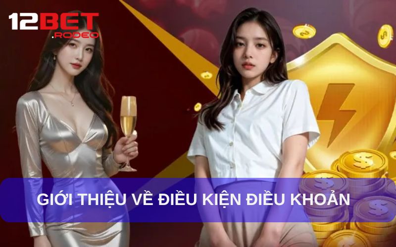 Sơ lược về điều kiện điều khoản sử dụng 12BET