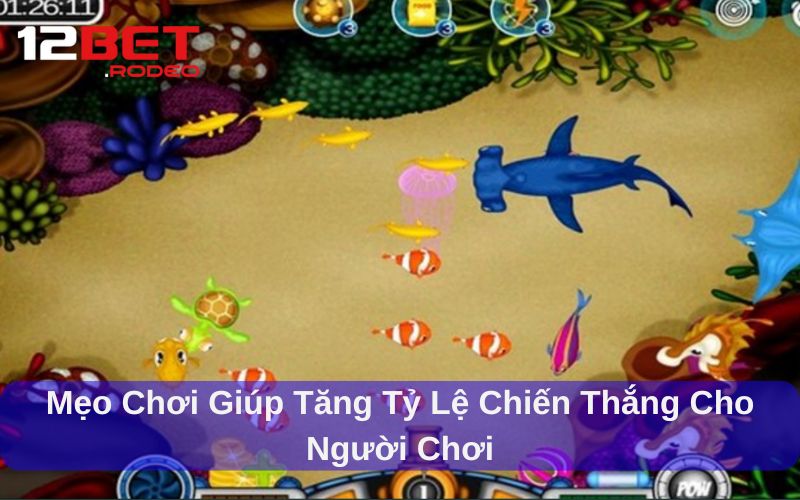 Askme Bắn Cá - Trải Nghiệm Giải Trí Đổi Thưởng Hấp Dẫn 7 Mẹo chơi giúp tăng tỷ lệ chiến thắng cho người chơi